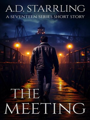 cover image of The Meeting (A Seventeen Series Short Story #3)